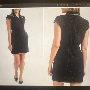 Ellen Tracy Black Mini Dress with White Accents